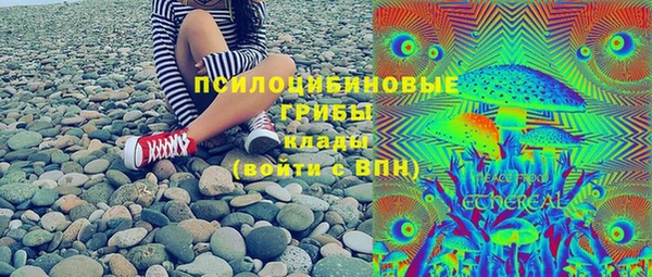 ешки Алексин