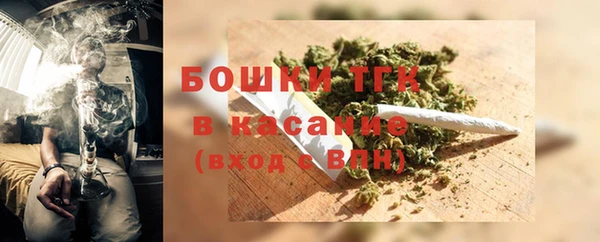 стаф Пересвет