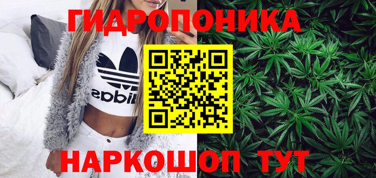 Миасс  Конопля планчик  Вход с VPN  Каннабис White Widow 